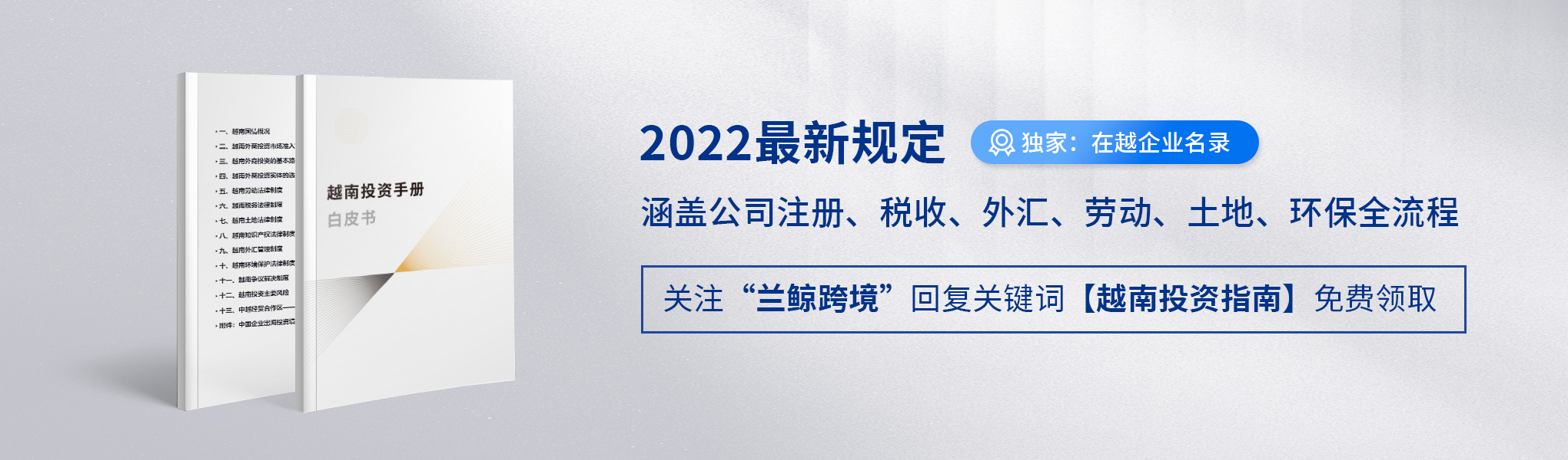 越南投资指南：越南外汇管制政策-兰鲸跨境涉外法律服务平台